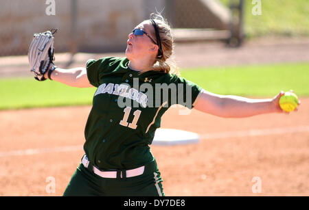 Houston, Texas, Stati Uniti d'America. 8 apr, 2014. APR 08 2014: Baylor a partire lanciatore Whitney Canion #11 offre un passo durante il NCAA softball gioco tra Houston e Baylor da Cougar Softball Stadium di Houston, TX. © csm/Alamy Live News Foto Stock