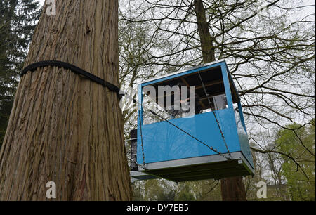 Oldenburg (Germania). 08 apr 2014. Una donna guarda fuori da un albero di casa che è stata fissata per gli alberi con cavi di acciaio nei giardini del palazzo a Oldenburg, Germania, 08 aprile 2014. Albero di quattro case e una casa su un laghetto si suppone per offrire ai visitatori nuove vedute del parco in occasione del suo bicentenario. Foto: CARMEN JASPERSEN/DPA/Alamy Live News Foto Stock