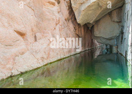 Piscina con acqua dolce sotto la sporgenza nel deserto canyon di montagna Foto Stock