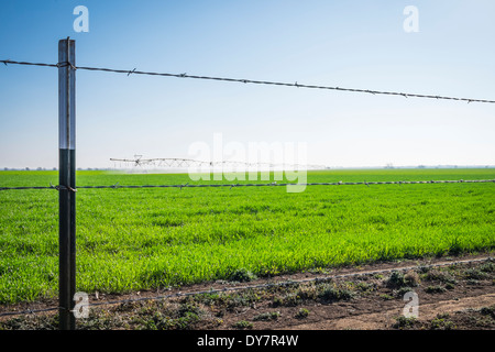 Stati Uniti d'America, Texas, campo agricolo irrigazione mobile sistema di tubazione Foto Stock