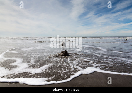 Sunken Bronzo antico bosco al Borth Beach, il Galles Centrale Foto Stock