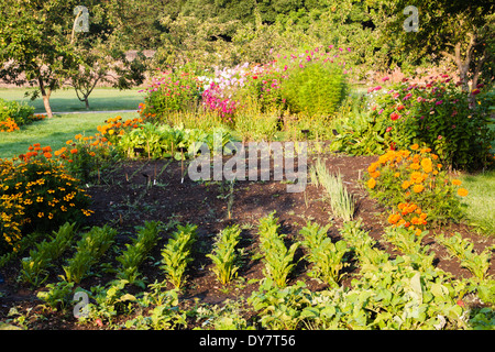 Piante e vegetali che crescono in il giardino murato a Fulham Palace Foto Stock