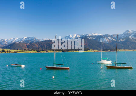 Forggensee, dietro le Alpi Allgäu, vicino a Füssen, Ostallgäu, Algovia, Alta Baviera, Baviera, Germania Foto Stock