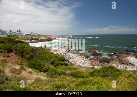 La costa di Hermanus, Western Cape, Sud Africa Foto Stock