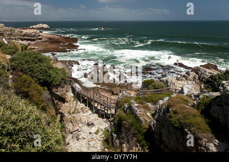 Scogliere a Hermanus, Western Cape, Sud Africa Foto Stock