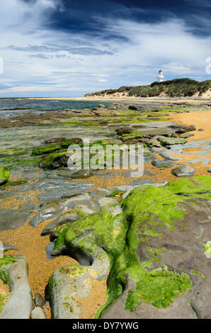 Faro di Waipapa punto con le nuvole nel cielo, alghe rocce coperte nella parte anteriore, Otara, Fortrose, Regione del Southland Foto Stock