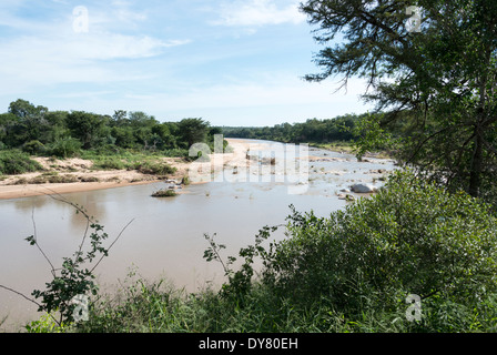 Il fiume di elefanti nel parco nazionale Kruger sud africa Foto Stock