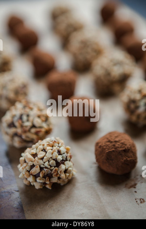 Fatta in Casa tartufi di cioccolato in righe sulla carta da forno, alcuni rivestito in polvere di cacao, alcuni in frutta secca tritata. Foto Stock