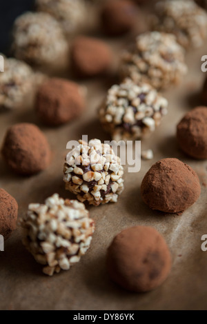 Fatti in casa a base di tartufi di cioccolato in righe sulla carta da forno, alcuni rivestito in polvere di cacao, alcuni in frutta secca tritata. Foto Stock