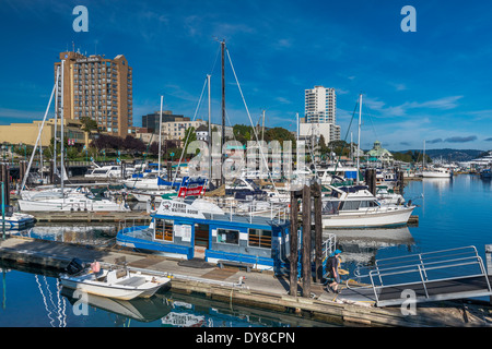 Barche a marina in Porto di Nanaimo downtown edifici, di Nanaimo, Isola di Vancouver, British Columbia, Canada Foto Stock