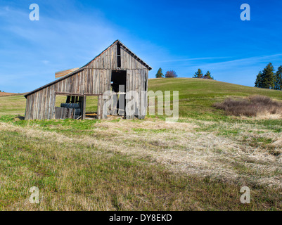 Rustico fienile spiovente in campo. Foto Stock