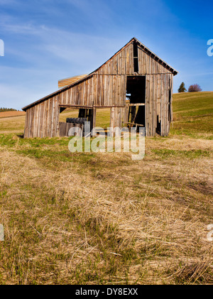 Rustico vecchio fienile in campo. Foto Stock