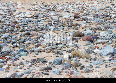 Di ghiaia e scogli su una spiaggia Foto Stock