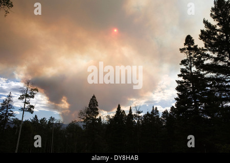 Pecos Wilderness, mostrando il fumo proveniente dal Pacheco Canyon wildfire appena a nord di Santa Fe. I PECO, NM. Foto di Janet Worne Foto Stock