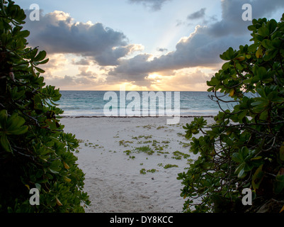 Sunrise presso la spiaggia su Harbour Island, Bahamas Foto Stock