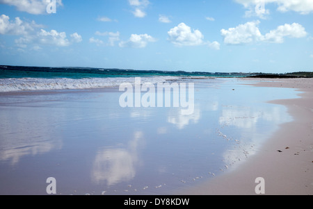 Sabbie rosa di Harbour Island, Bahamas Foto Stock