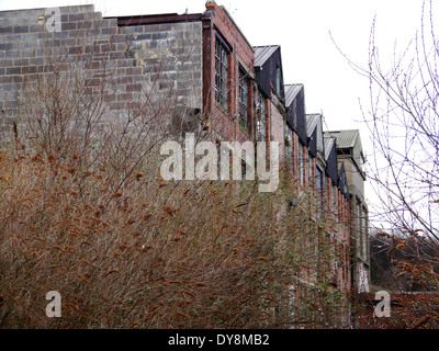 Abbandonata fabbrica abbandonata / magazzino proprietà, North Shields, England, Regno Unito Foto Stock