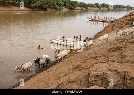 Rurale scena sul fiume Omo nella bassa valle dell'Omo di Etiopia Foto Stock