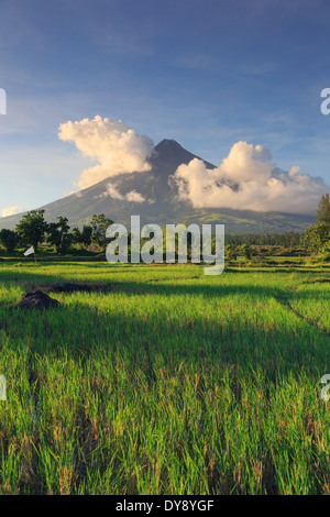 Filippine, Souteastern Luzon, Bicol, Vulcano Mayon Foto Stock