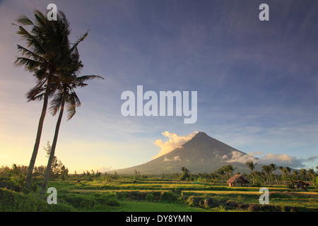 Filippine, Souteastern Luzon, Bicol, Vulcano Mayon Foto Stock