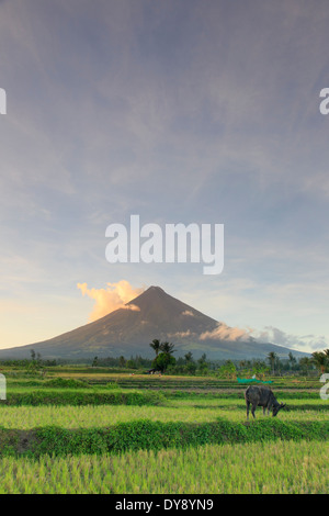 Filippine, Souteastern Luzon, Bicol, Vulcano Mayon Foto Stock