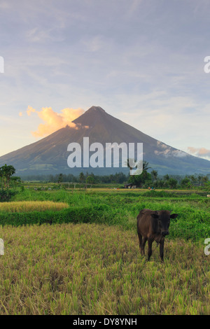 Filippine, Souteastern Luzon, Bicol, Vulcano Mayon Foto Stock