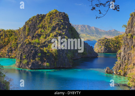 Filippine, Palawan Coron Island, il Kayangan Lake, vista in elevazione di una delle scogliere calcaree Foto Stock