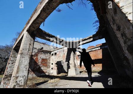 (140410) -- HARBIN, 10 aprile 2014 (Xinhua) -- Un vistor passeggiate attraverso le rovine di uno del Giappone della guerra di germe di strutture durante la seconda guerra mondiale in Cina del nord-est della città di Harbin, provincia di Heilongjiang, 10 aprile 2014. La Cina sta progettando di proteggere i principali resti storici di Imperiale esercito giapponese che è l'unità 731 e lo prepara per l'iscrizione nella Lista del Patrimonio Mondiale dell'UNESCO. Unità 731 era un biologico e la guerra chimica unità di ricerca stabilite in Harbin nel 1935, che serve come il centro nevralgico del Giappone della guerra biologica in Cina e nel sud-est asiatico durante la seconda guerra mondiale. (Xinhua/Wang Jianwei) (WF) Foto Stock