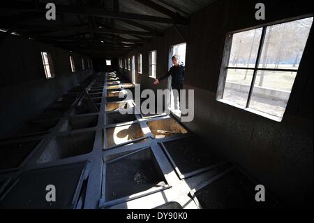 (140410) -- HARBIN, 10 aprile 2014 (Xinhua) -- un membro del personale mostra i resti di uno del Giappone della guerra di germe di strutture durante la seconda guerra mondiale in Cina del nord-est della città di Harbin, provincia di Heilongjiang, 10 aprile 2014. La Cina sta progettando di proteggere i principali resti storici di Imperiale esercito giapponese che è l'unità 731 e lo prepara per l'iscrizione nella Lista del Patrimonio Mondiale dell'UNESCO. Unità 731 era un biologico e la guerra chimica unità di ricerca stabilite in Harbin nel 1935, che serve come il centro nevralgico del Giappone della guerra biologica in Cina e nel sud-est asiatico durante la seconda guerra mondiale. (Xinhua/Wang Jianwei) (WF) Foto Stock