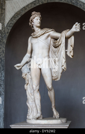 L' Apollo di Belvedere, Pio Clementino Musuem, Musei Vaticani, Roma, Italia Foto Stock