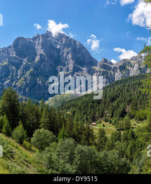 Ruvido ripide montagne Trubelstock Schwarzhorn Gemmipass paesaggio prato campo alberi estate montagne colline Leukerbad Wallis Foto Stock