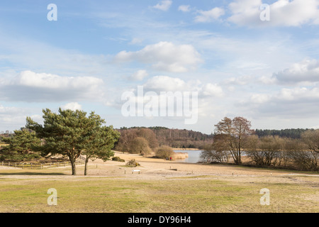 Scenario a Frensham grande stagno, Frensham comune, Waverley, Surrey, Regno Unito, in inverno con il lago e la spiaggia sabbiosa di zona Foto Stock