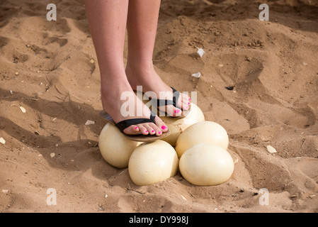 Southern African donna con dipinto toenails in piedi su una frizione di uova di struzzo Foto Stock