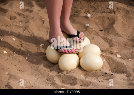 Southern African donna con dipinto toenails in piedi su una frizione di uova di struzzo Foto Stock