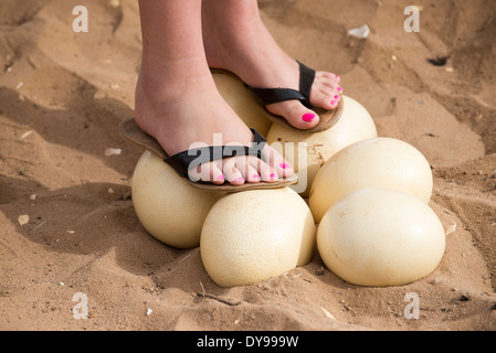 Southern African donna con dipinto toenails in piedi su una frizione di uova di struzzo Foto Stock