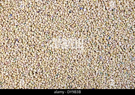 Texture di giallo e rosa secca semi di fieno greco Foto Stock