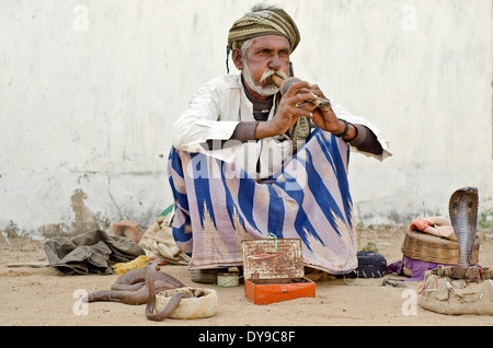 Wadi casta serpente incantatore ,Wadi Nagar ,Bacchau, India Foto Stock