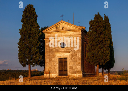 Classico paesaggio toscano, vicino a Pienza, Toscana, Italia Foto Stock