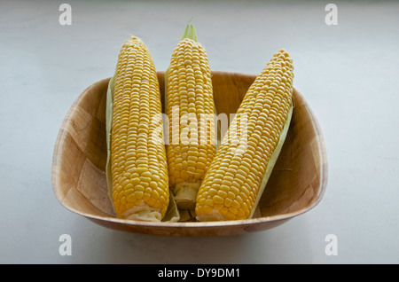 Fresco raccolte le pannocchie di granturco dolce in una ciotola di legno con in alto le foglie esterne spogliato per esporre il giallo di chicchi di mais. Foto Stock