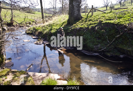 Uomo di Pesca a Mosca Report di Pesca di trote fario selvatiche in Olchon Brook vicino Longtown Herefordshire England Regno Unito Foto Stock