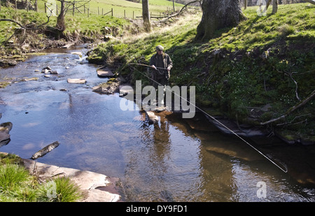 Uomo di Pesca a Mosca Report di Pesca di trote fario selvatiche in Olchon Brook vicino Longtown Herefordshire England Regno Unito Foto Stock