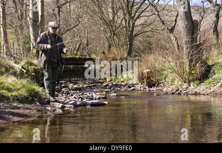 Uomo di Pesca a Mosca Report di Pesca di trote fario selvatiche in Olchon Brook vicino Longtown Herefordshire England Regno Unito Foto Stock