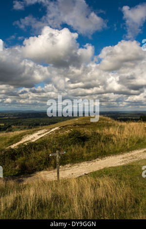 Il South Downs strada nel sud Downs National Park a Rackham Bank nei pressi del villaggio di Amberley nel West Sussex. Foto Stock