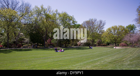 Primavera Picnic in Dallas Arboretum Foto Stock