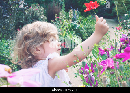 Bambina a caccia di fiori Foto Stock