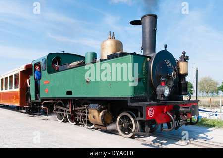 Francia, Côte Picarde, St Valery sur Somme. Treno a vapore sul Chemin de Fer de la Baie de Somme, Somme Bay ferrovia. Foto Stock