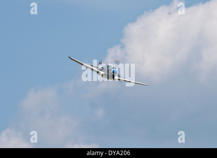 Curtiss P-40N Warhawk al Flying Legends, Airshow Imperial War Museum Duxford Foto Stock