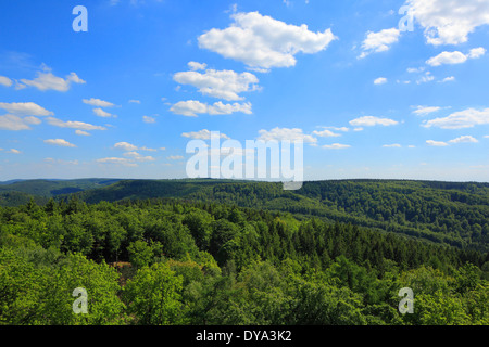 Germania Europa Detmold Werre della Foresta Teutoburg riserva naturale della Foresta Teutoburg Eggegebirge Ostwestfalen-Lippe Ostwestfalen Westph Foto Stock