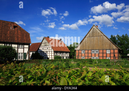 Germania Europa Detmold Werre della Foresta Teutoburg riserva naturale della Foresta Teutoburg Eggegebirge Ostwestfalen-Lippe Ostwestfalen Westph Foto Stock