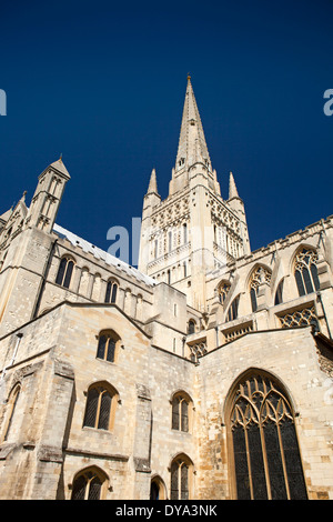 Regno Unito, Inghilterra, Norfolk, Norwich, Cattedrale sulla bella giornata di sole Foto Stock